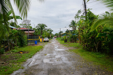 Rural Dirt Road
