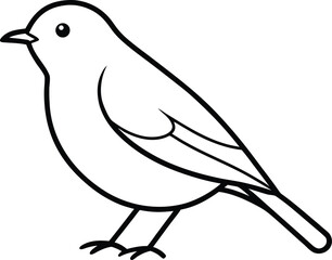 Fototapeta premium A robin bird line art vector illustration.