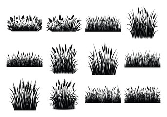 Set of Grass and Wheat Silhouette Designs