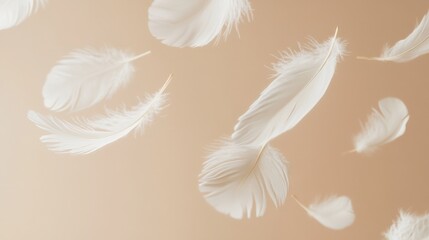 Levitating Delicate Feathers on a Neutral Background