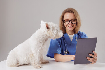 Veterinarian Using Digital Tablet for Dog Health Consultation in Clinic, Modern Pet Care Concept