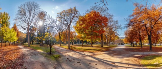Sunlight filters through a panoramic view of a city park in autumn, casting long shadows over the ground blanketed with fallen leaves..