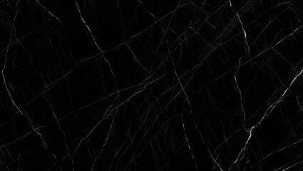 Black Background with Delicate White Veins - Elegant Texture