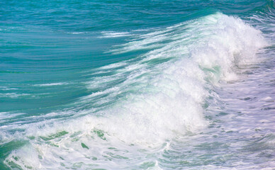 Power sea wave breaking on the shore or beach