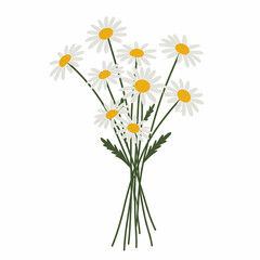 Simple illustration of a bouquet of white daisies