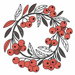 red berries on a branch