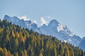 mountain peaks and in front a forest