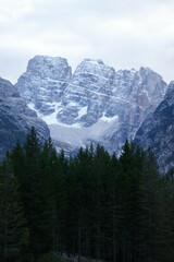 mountain peaks and in front a forest