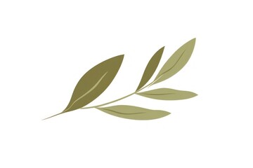 Olive leafs leaves art illustration.