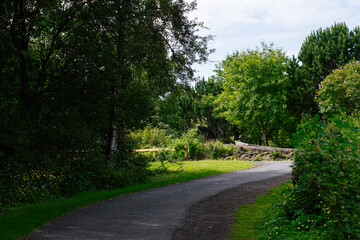 Scenic pathway through lush greenery in Reykjavik, Iceland on a sunny day