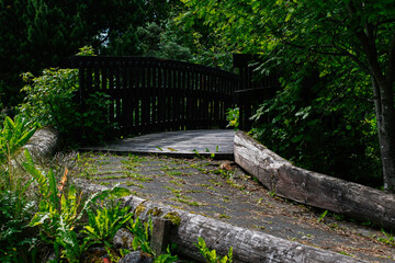 Rustic wooden bridge surrounded by lush greenery in Reykjavik, Iceland park