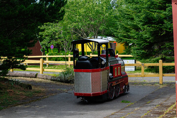Colorful small train model in Reykjavik Iceland surrounded by vibrant green trees