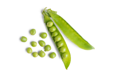 Open green pea pod with individual peas scattered around, isolated on white, transparent background. Image ideal for food designs, healthy lifestyle, and organic products legume, crop, food ingredient
