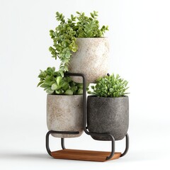 Stylish potted plants in a modern display stand.