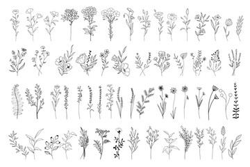 minimalist wildflower bouquets