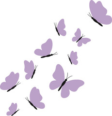 Lavender Butterflies Springtime Gentle Flight