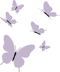 Lavender Butterflies: Gentle Spring Flight