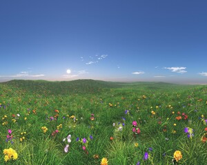 Flower meadow, meadow under blue sky, 3d rendering