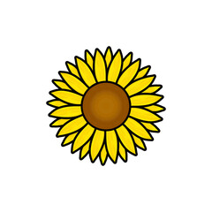 Mixed flowers, daisy, yellow flowers, pink flowers, blue flowers, black and white flower pictures