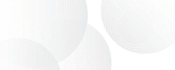 White geometric abstract background overlap layer on bright space with lines effect decoration. Modern graphic design element circles style concept for banner, modern vector arts