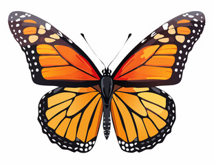 Fototapeta premium Monarch Butterfly with Wings Open – Final Stage of Life Cycle