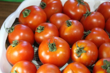 fresh red tomatoes on the market.