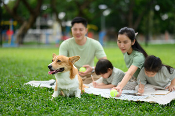Outdoor leisure time with kids, drawing, Family, and pet corgi enjoying a weekend picnic in the park