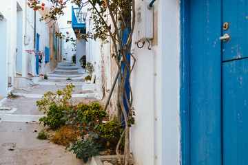 Narrow alley with blue doors and flowers in Plaka, Milos island, Greece