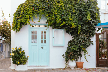 White house with plants and turquoise door, Milos island, Greece