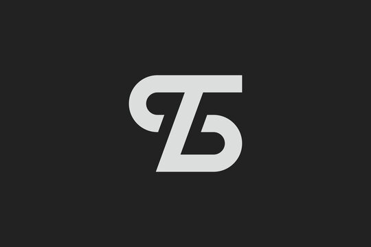 Letter TS Logo 