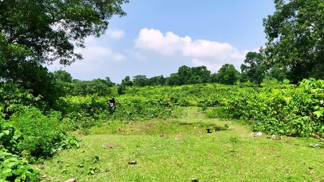 Aerial Landscape of Barek Tila &ndash; Rolling Green Hills in Sunamganj, Bangladesh