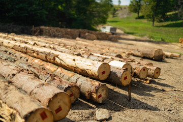 Large piles of freshly sawn timber are stacked on a clearing in a hilly forest area. Surrounded by...