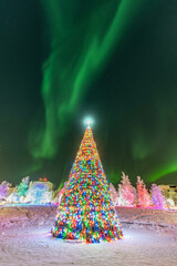 Northern Light, Aurora Borealis over the Christmas Tree, Yellowknife, Northwest Territories, Canada