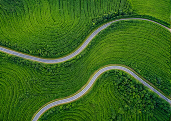 aerial vu of a field