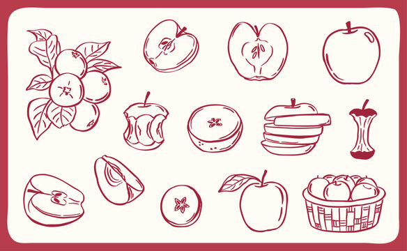 apple fruits illustration doodle - hand drawn sketch with red line art - vector collection set