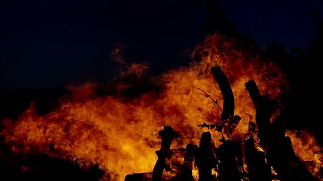 Real flames of a big bonfire burning in the night in a field. Red flames isolated on a black background. Slow motion video.