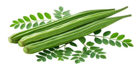 Fresh green moringa oleifera pods and leaves isolated on transparent background for healthy eating