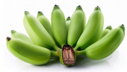 unripe green banana cluster fresh fruit isolated on white background