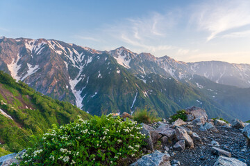 朝の八方山と八方池風景