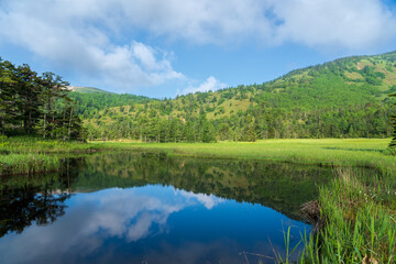 初夏の草津温泉芳ヶ平湿原トレッキング