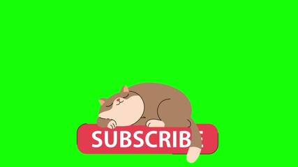 Animated sleeping cat illustration on a subscribe button over a green screen, perfect for end screen content.