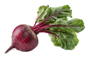 Fresh beet with green leaves on black background