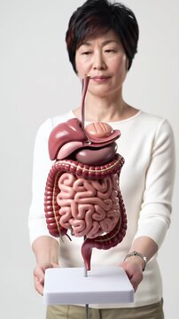 Medical Professional Holding Anatomical Model of Human Digestive System Featuring Colon and Small Intestine in White Background