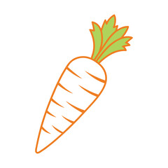 carrot outline vector