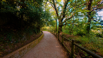 A tranquil paved pathway meanders through a dense and shady green forest in the Basque Country, creating an inviting and peaceful atmosphere for a relaxing walk in the heart of nature.