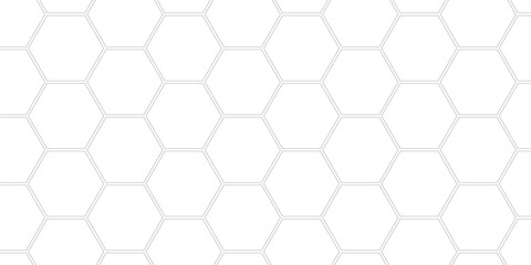 . Abstract background with lines . white texture background . hexagon abstract background.