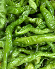 Green shishito peppers at a market stand