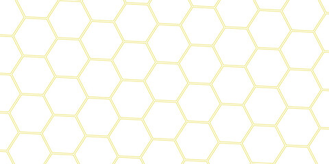. Abstract background with lines . white texture background . hexagon abstract background.