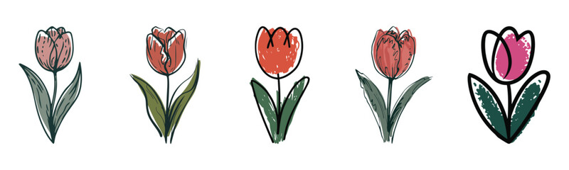Hand-Drawn Tulip Illustration Set,  Colorful Sketch Style Flower Collection