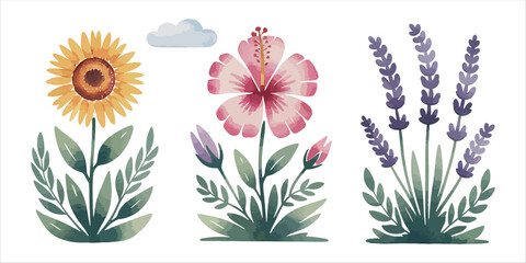 Vector art of watercolor flowers isolated on white background